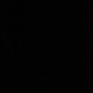 Meet your Posher, Delanie